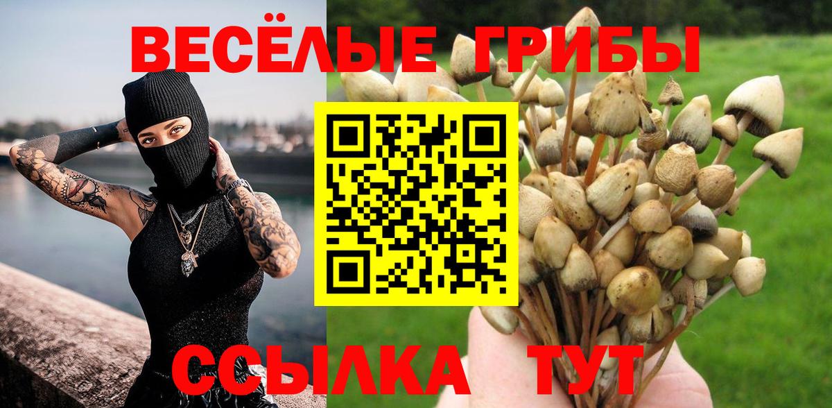 Псилоцибиновые грибы Psilocybe  Вход с VPN  Галлюциногенные грибы Psilocybe  Лыткарино 