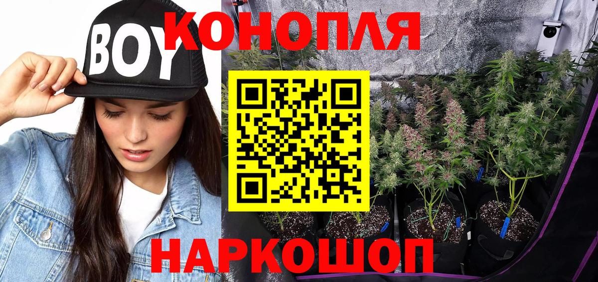 Лыткарино  Марихуана семена  Вход с VPN  Шишки марихуана индика 
